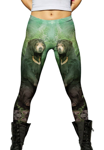 Trees Sun Bear