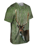 Moss Stag