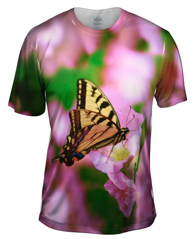 Zebra Butterfly