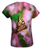 Zebra Butterfly
