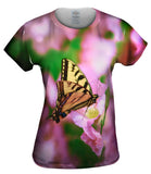 Zebra Butterfly