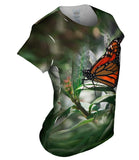 Mono Butterfly