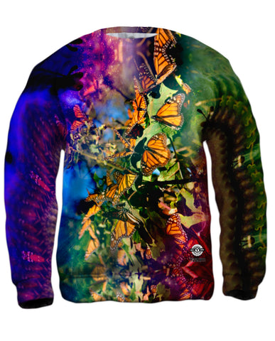 Tiedye Butterflies
