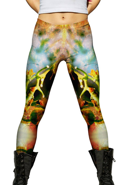 Dragon Butterfly&nbsp;Womens Leggings
