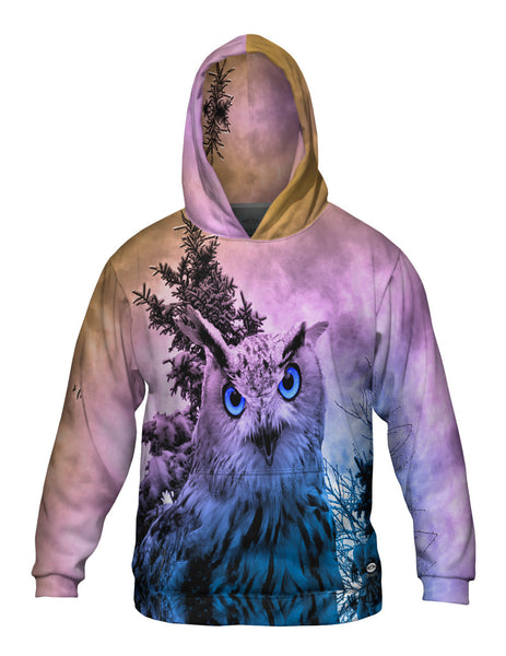 Snow Blue Owl Mens Hoodie Sweater