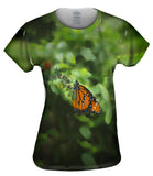 Garden Butterfly