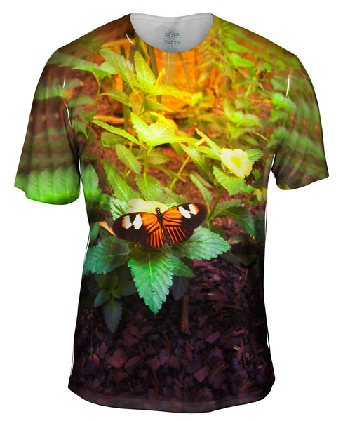 Morning Butterfly Mens T-Shirt