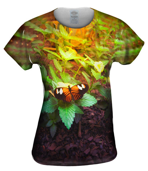 Morning Butterfly Womens Top
