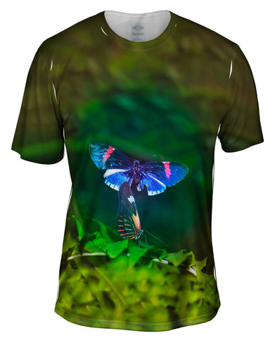 Blue And Pink Butterfly