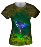 Blue And Pink Butterfly
