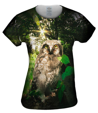 Lone Babe Owl