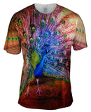 Street Peacock