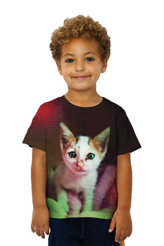 Kids Pique Kitten