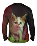 Pique Kitten