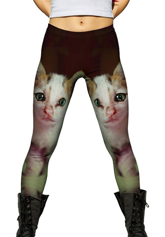 Pique Kitten