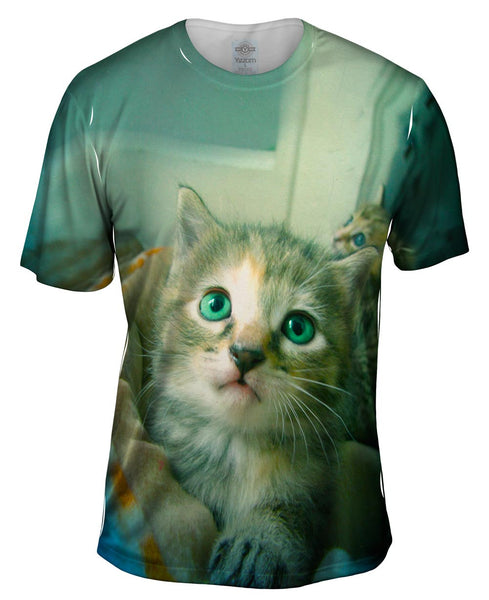 Door Way Kitten Mens T-Shirt