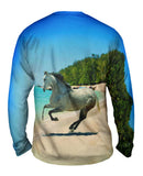 Paso Fino Beach