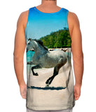 Paso Fino Beach