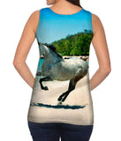 Paso Fino Beach
