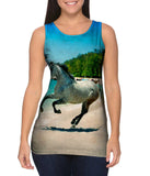 Paso Fino Beach