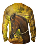 Paso Fino Lord