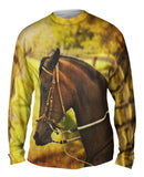 Paso Fino Lord