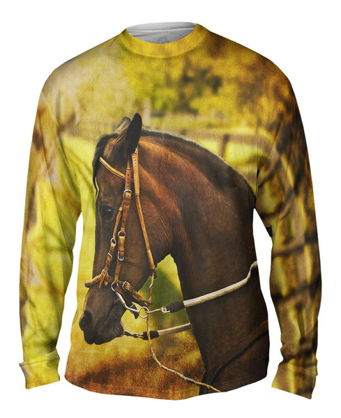 Paso Fino Lord&nbsp;Mens Long Sleeve