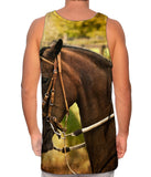 Paso Fino Lord