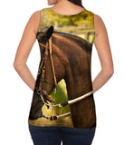 Paso Fino Lord
