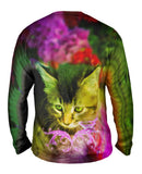 Cool Kitten