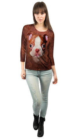 Boston Terrier Face