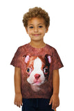 Kids Boston Terrier Face