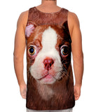 Boston Terrier Face