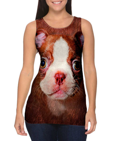 Boston Terrier Face