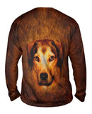 Adorable Beagle Face