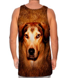 Adorable Beagle Face