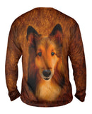 Adorable Collie Face