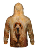 American Cocker Spaniel Face