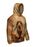 American Cocker Spaniel Face