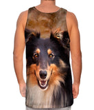 Sheltie Face