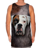 Boxer Dog Face