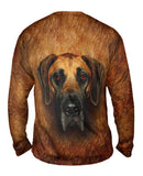 Great Dane Face