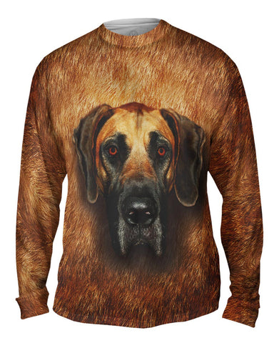 Great Dane Face