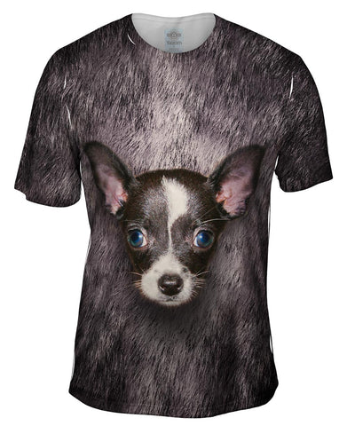 Black Chihuahua Face