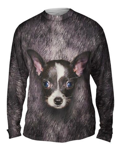 Black Chihuahua Face