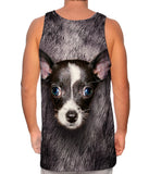 Black Chihuahua Face