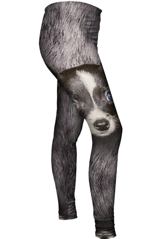 Black Chihuahua Face