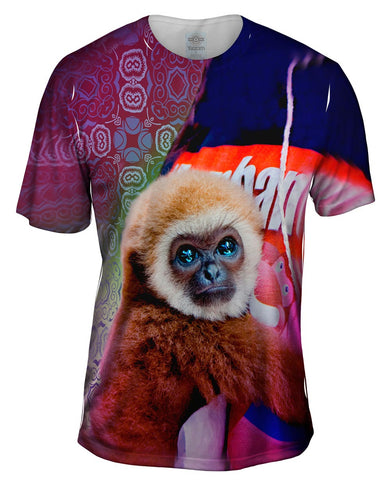 Thai Baby Monkey