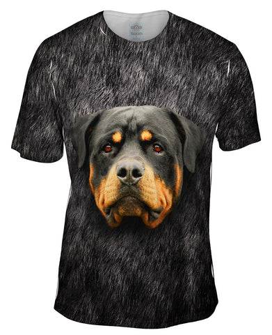 Rotweiler Face