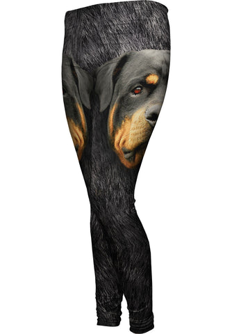 Rotweiler Face